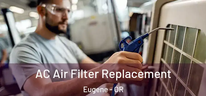  AC Air Filter Replacement Eugene - OR