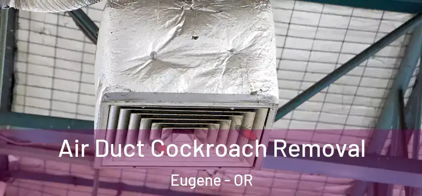 Air Duct Cockroach Removal Eugene - OR