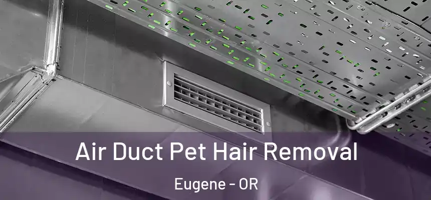 Air Duct Pet Hair Removal Eugene - OR