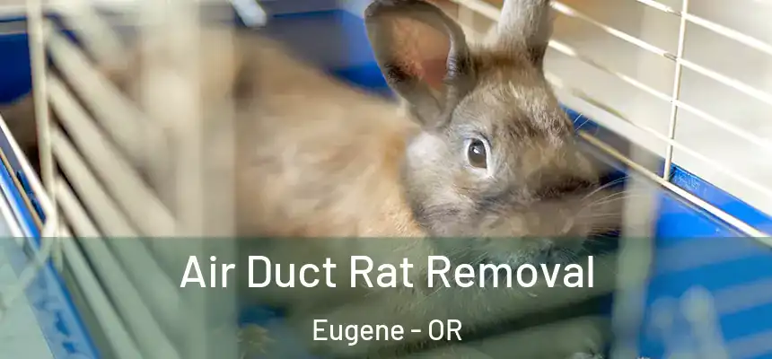  Air Duct Rat Removal Eugene - OR