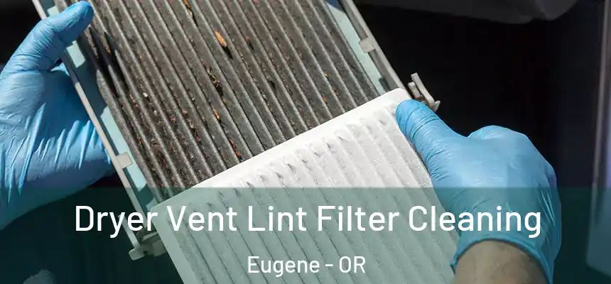  Dryer Vent Lint Filter Cleaning Eugene - OR