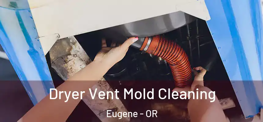 Dryer Vent Mold Cleaning Eugene - OR
