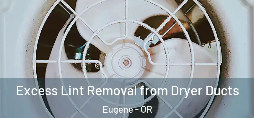  Excess Lint Removal from Dryer Ducts Eugene - OR