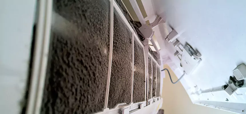 Preventive Air Duct Bacteria Removal in Eugene