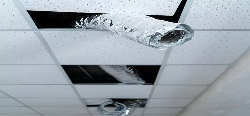 Affordable HVAC Sanitizing After Pest Removal in Eugene