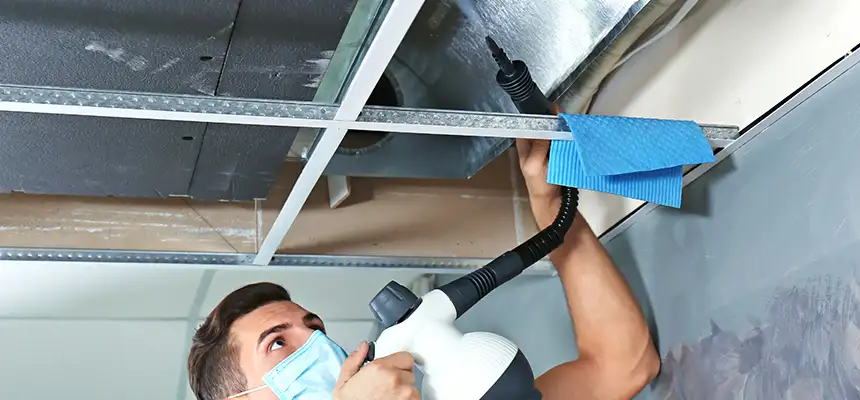 Our Air Duct Rodent Removal Services in Eugene, OR