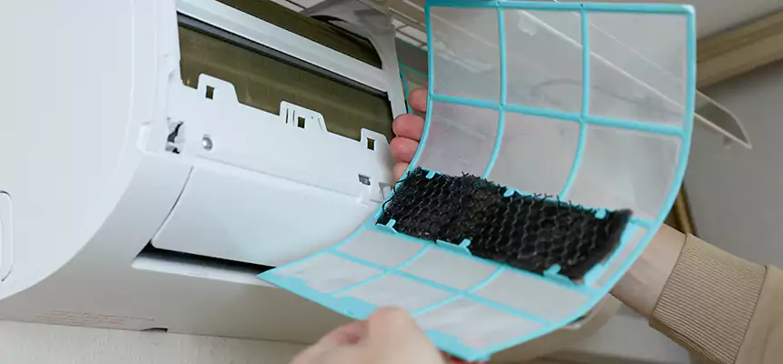 Gentle Ductwork Odor-Control Pet Dander Duct Cleaning in Eugene, OR