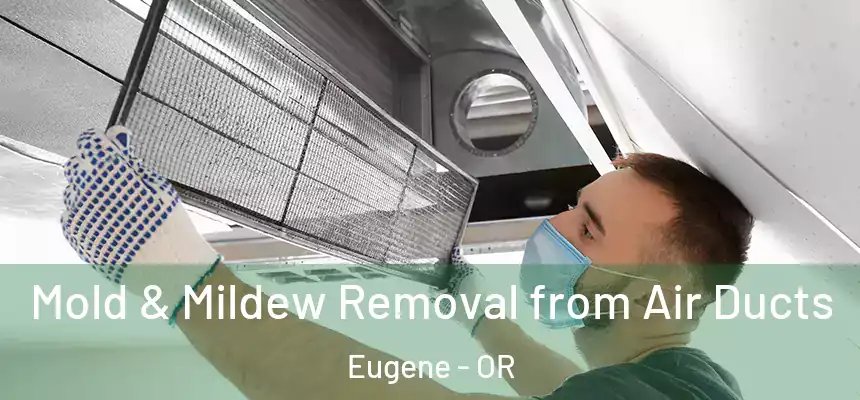Mold & Mildew Removal from Air Ducts Eugene - OR