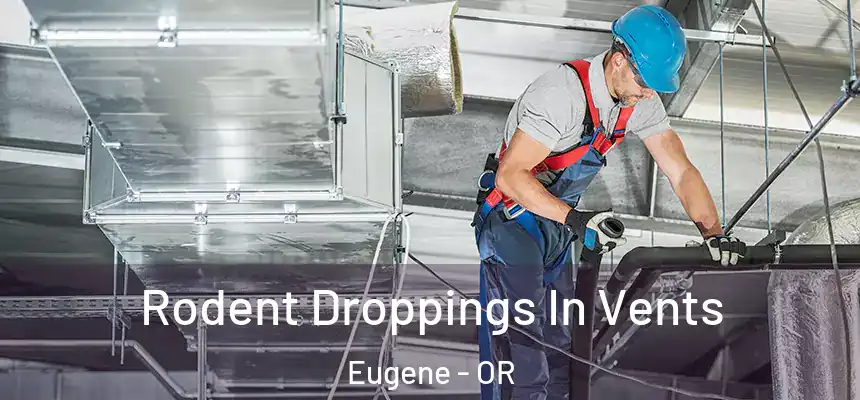  Rodent Droppings In Vents Eugene - OR