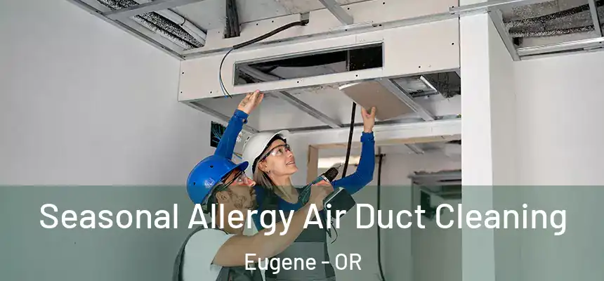Seasonal Allergy Air Duct Cleaning Eugene - OR