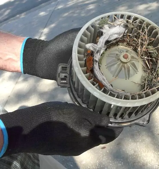 About Air Duct Rat Removal in Eugene, OR