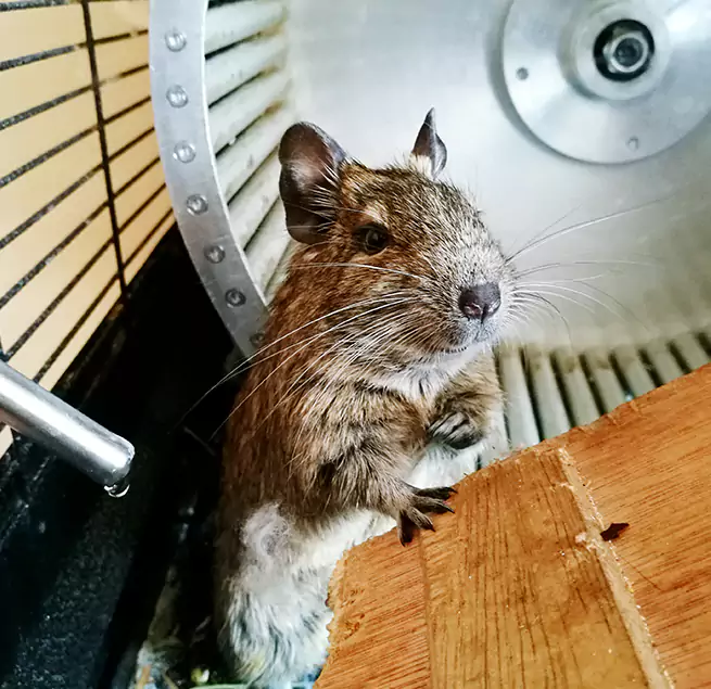 Why Homeowners & Businesses Trust Us Eugene, OR