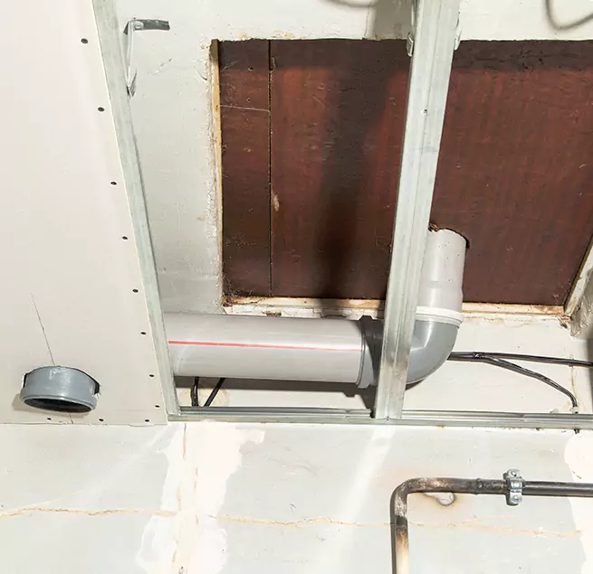 Why Homeowners & Businesses Trust Us in Eugene, OR?