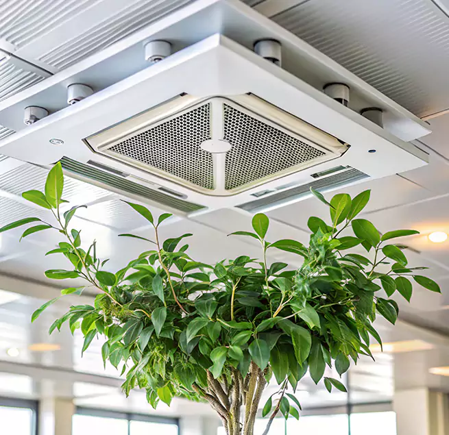 Why Homeowners & Businesses Trust Us in Eugene, OR