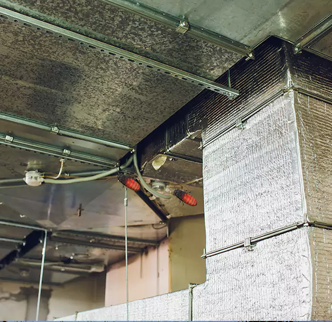 Why Homeowners & Businesses Trust Us Eugene, OR?